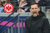 Frankfurt-Coach nach 6:4 gegen Gladbach sauer über Gegentore: "Sind in einem Reifeprozess"