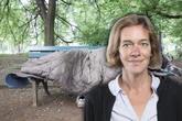 Zahlen verdoppelt: Immer mehr Sachsen ohne Wohnung, Linke fordern Hilfen
