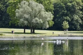 Nimmt der Sommer in NRW jetzt richtig Fahrt auf? So startet die kommende Woche