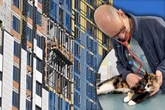 Katze stürzt aus 15. Stock und erleidet heftige Verletzung: Erst drei Tage später wird ihr geholfen