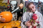 Schön schaurig! Was Dresden zu Halloween alles zu bieten hat