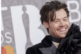 Harry Styles sorgt für Höhepunkte: Popstar bringt sein eigenes Sextoy raus