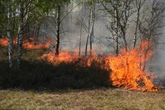 Waldbrand bei Jüterbog: Feuerwehr machtlos, kommt jetzt Hilfe von oben?