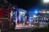 Brand in Gärtnerei: Feuerwehr im Großeinsatz - Auch Mitarbeiter kämpfen gegen Flammen