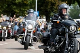 "Harley Days": Biker-Konvoi knattert durch Dresden