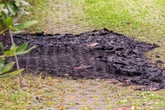 Mit Zigarette eingeschlafen: Mieter wirft brennende Matratze aus dem Fenster