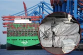 500 Kilo Koks im Container: Drogen-Giganten aufgeflogen?