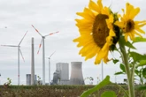 Klimafestival in Köln: Eine Woche steht die Domstadt ganz im Zeichen des Klimaschutzes