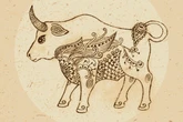 Wochenhoroskop Stier: So wird die nächste Woche vom 11.8. bis 17.8.2025