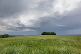 Erst Hitze, dann rollen Unwetter auf den Südwesten zu