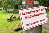 Schweinepest in NRW: Diese Maßnahmen treffen jetzt auch Hundehalter