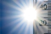 Hitzeblog für Dresden: 39 Grad erwartet - Warnung vor extremer Wärmebelastung