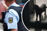 Katze im Rucksack: Polizeieinsatz wird zur bewegenden Geschichte