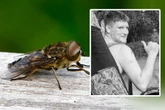 Eine Bremse stach ihn in den Ellenbogen: Wenige Wochen später war Andrew (†31) tot