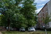 Parkplätze statt Bäume: Grüne und Anwohner in Chemnitz auf der Palme