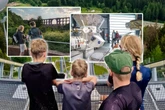 Urlaub in der Heimat: Vogtland, hinter sanften Hügeln warten Bäder und Kultur