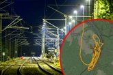 "Bahn-Surfer" legen Zugverkehr im Elbtal lahm: Bundespolizei mit Hubschrauber im Einsatz