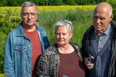 Solarpark-Ärger! Bürgerinitiative will Stadt verklagen