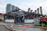 Großbrand auf Zuchthof: 10.000 Masthühner gestorben - Millionenschaden erwartet