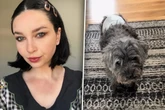 Frau hat Angst, dass Leute auf Party über Hund stolpern: Lösung lässt Lachtränen fließen