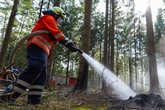 Heißes Wochenende in Sachsen: Hier besteht höchste Waldbrandgefahr