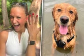 Frau feiert Verlobung: Doch sie ahnt nicht, was ihrem Golden Retriever hinter ihr zustößt