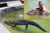Seit 43 Jahren? Alligator lebt bei Familie im Garten, doch Halter spricht Warnung aus