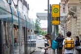 Bauarbeiten in der Neustadt: Diese DVB-Linien fahren eine Woche lang Umleitung