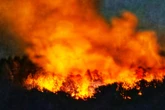 Waldbrand in Gebiet mit Kampfmitteln führt zu Explosionen: Kompletter Ort evakuiert