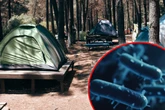 Albtraum beim Camping-Trip: Mann an Pest erkrankt