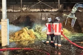 Großbrand in Lagerhalle: 450.000 Euro Schaden