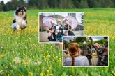 Acht Ideen gegen Langweile: Das ist heute in Chemnitz und Umgebung los