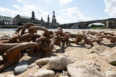 Stadt Dresden reagiert mit Verbot auf anhaltende Trockenheit