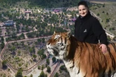 Sechs Tiger weggenommen: So sollen die Tiere der Leipziger Tiger-Queen in Spanien leben