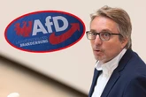 BSW-Streit in Brandenburg könnte AfD in die Hände spielen