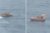 Drama auf hoher See: Mädchen fällt von Kreuzfahrtschiff, Vater springt direkt hinterher