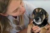 Hund hat bei Rettung höllische Angst: Doch ein Detail an ihm macht Frau Hoffnung