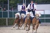 100 Jahre Hengstparade: Moritzburg feiert tierisches Jubiläum