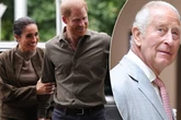 Endlich vereint! Meghan und Harry bringen ihre Kinder nach Großbritannien zu Opa Charles