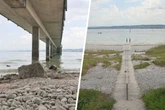 Schiffe bleiben am Ufer: Wasserstand im Bodensee so niedrig wie seit Jahren nicht mehr