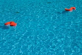 Der Sommer kann kommen! Magdeburg startet in die Freibadsaison
