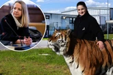 Tiger-Drama bei Leipzig: Staatsanwalt ermittelt gegen Dompteurin