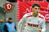 Gleich Startelf, Bank oder Tribüne? Stamm überlegt bei Dynamo-Neuzugang Pauli noch