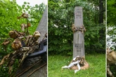 Denkmal um die Opfer der DDR-Diktatur auf dem Kaßberg verlottert: Was sagt die Stadt?