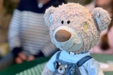 Nach 18 Jahren "on the road": Dresdner Travel-Teddy wird generalüberholt