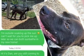 Tierheim-Hund ist bereit für seine Adoption: Was Pfleger dann herausfinden, bricht ihr Herz