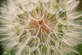 Horoskop heute: Tageshoroskop kostenlos für den 31.8.2025