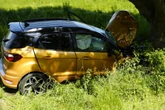 Fahrer muss nach Baum-Crash ins Krankenhaus geflogen werden