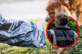 Haufenweise Kontrollen: Berlin sagt faulen Hundebesitzern den Kampf an