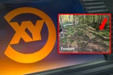 "Aktenzeichen XY": Babyleiche im Wald gibt bis heute Rätsel auf